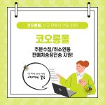 카드뉴스_프레임_01